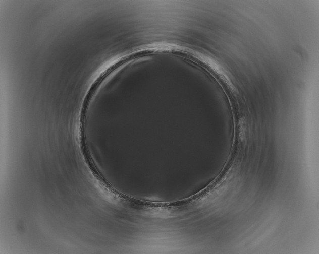 X0000111461229200907271244