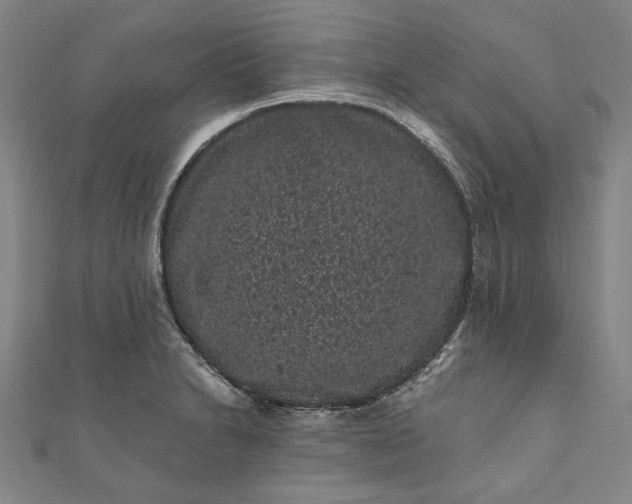 X0000111461230200907271244