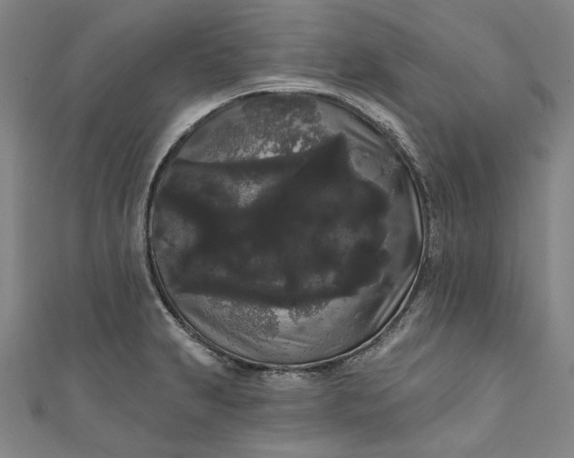 X0000111461231200907271244