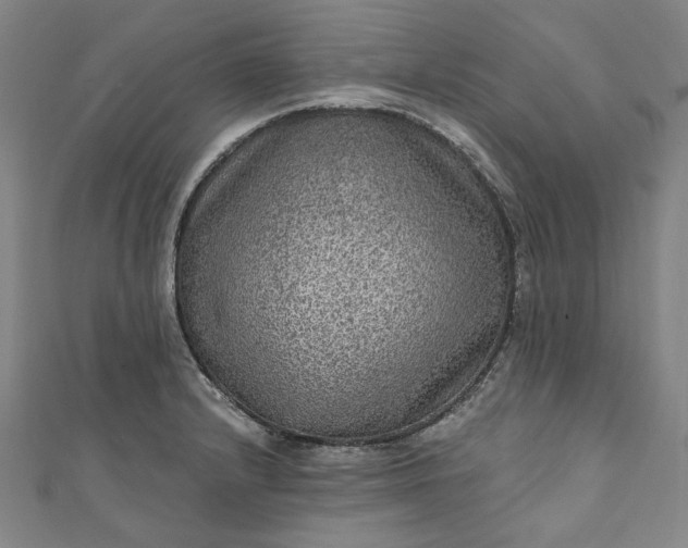 X0000111461232200907271244