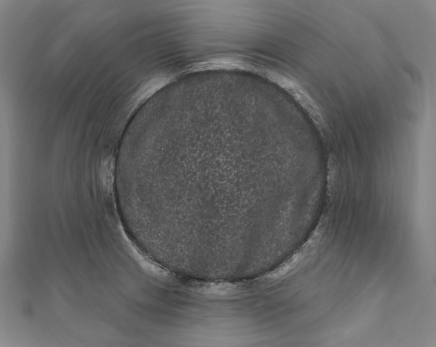 X0000111461233200907271244