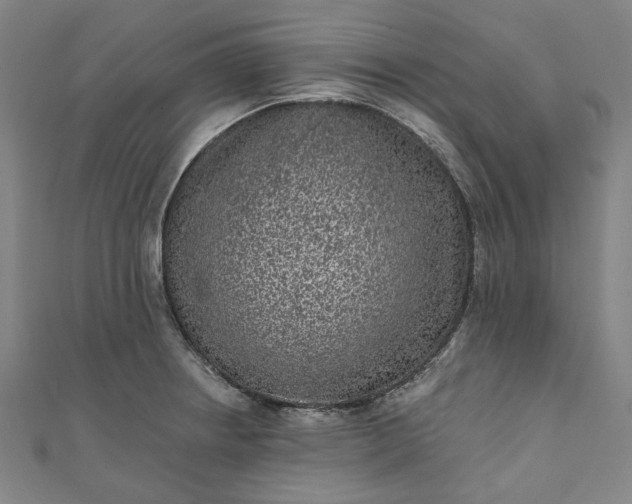 X0000111461234200907271244