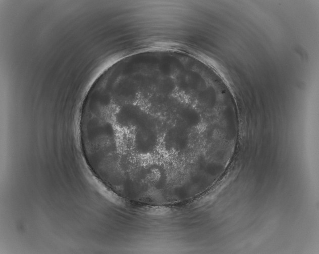 X0000111461235200907271244