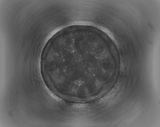 X0000111461237200907271245