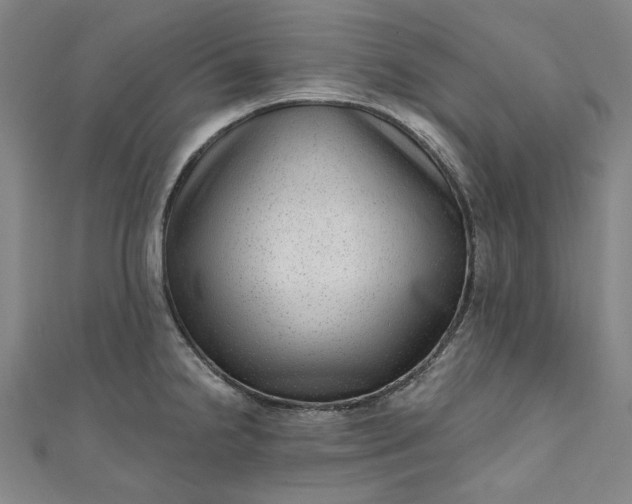 X0000111461238200907271245