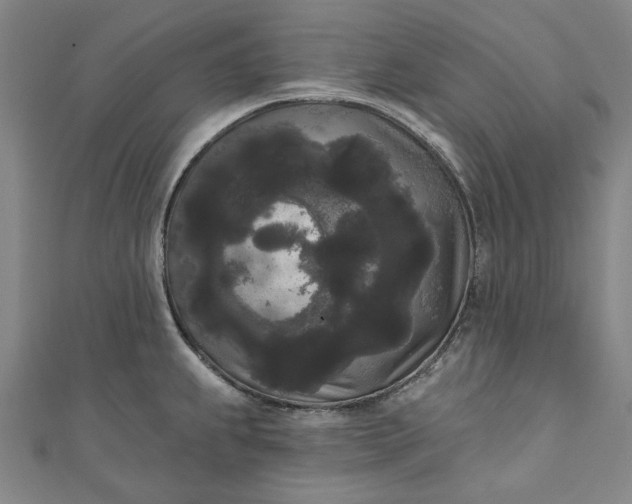 X0000111461239200907271245