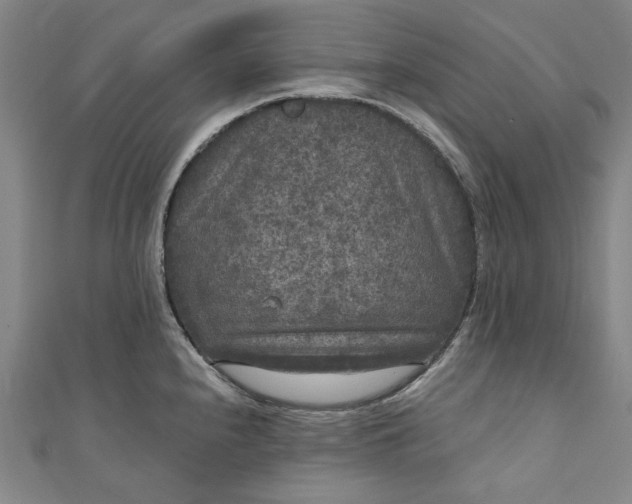 X0000111461240200907271245