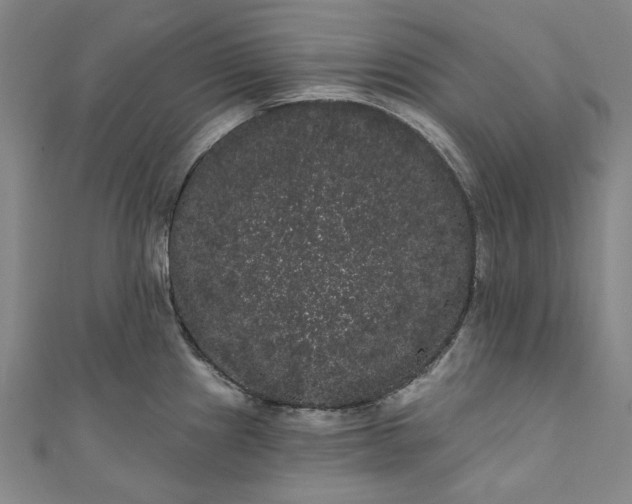 X0000111461241200907271245