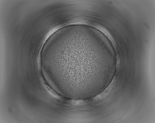 X0000111461242200907271245