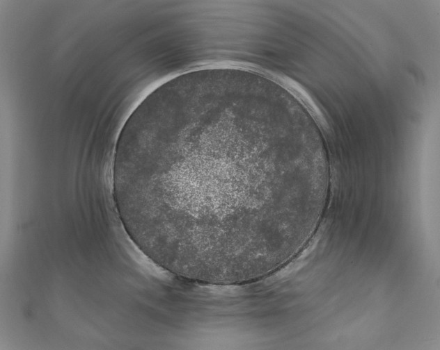 X0000111461244200907271245