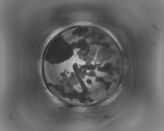 X0000111461245200907271245