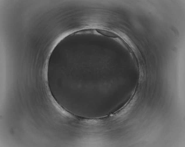 X0000111461246200907271245