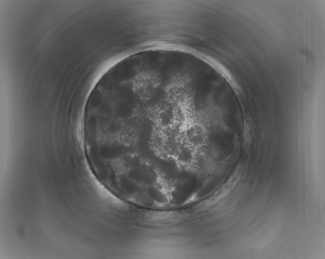 X0000111461247200907271245