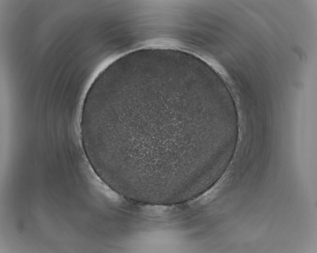 X0000111461248200907271245