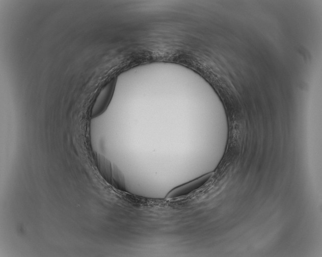 X0000111461249200907271244