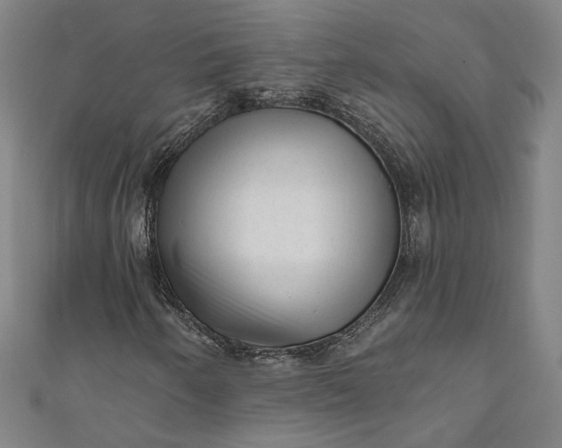 X0000111461250200907271244