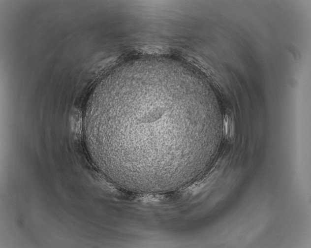 X0000111461251200907271244