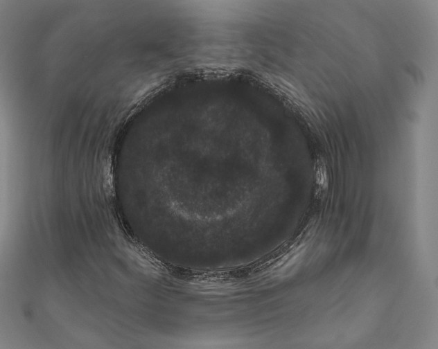 X0000111461252200907271244