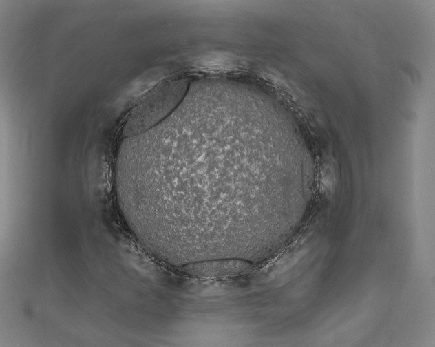 X0000111461253200907271244