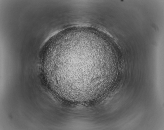 X0000111461255200907271244