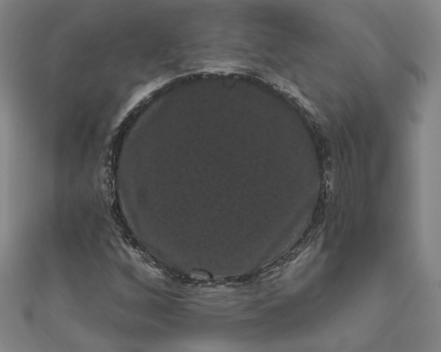 X0000111461256200907271244