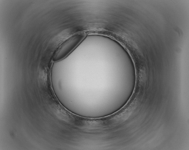 X0000111461257200907271244