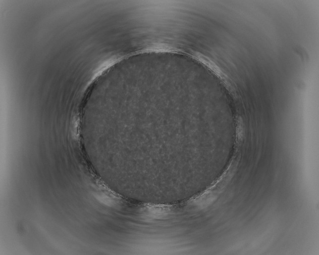 X0000111461258200907271244