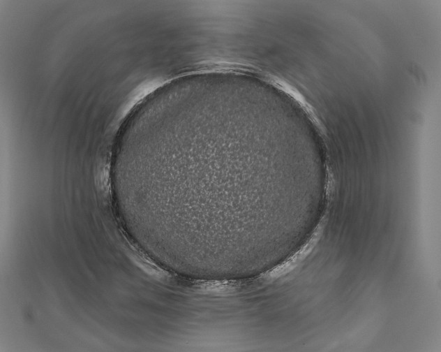 X0000111461259200907271244