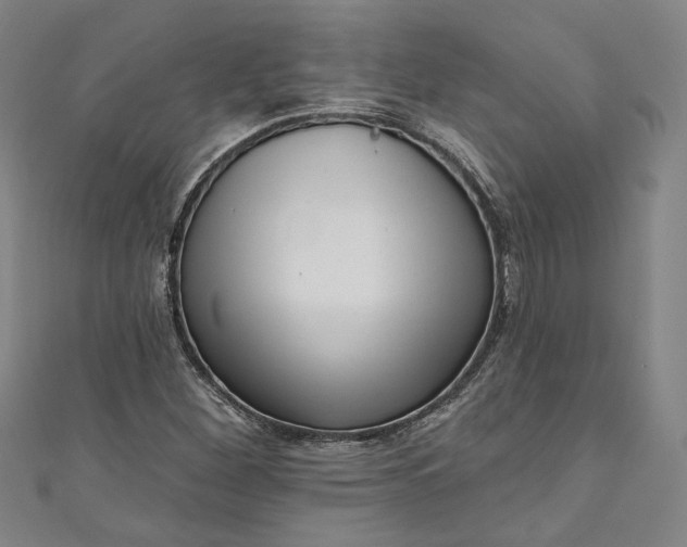 X0000111461260200907271244