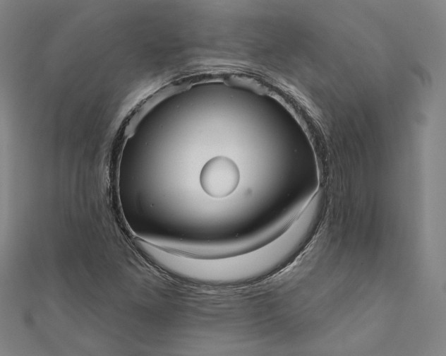 X0000111461261200907271244