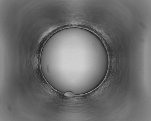 X0000111461262200907271244