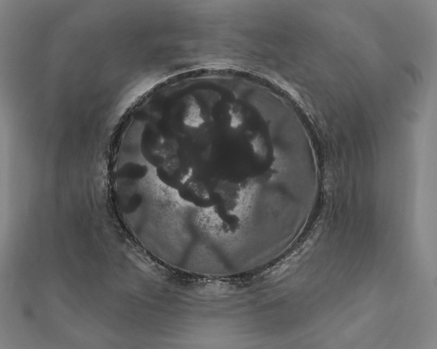 X0000111461263200907271244