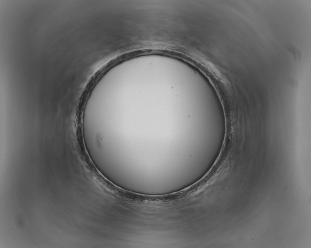 X0000111461264200907271244