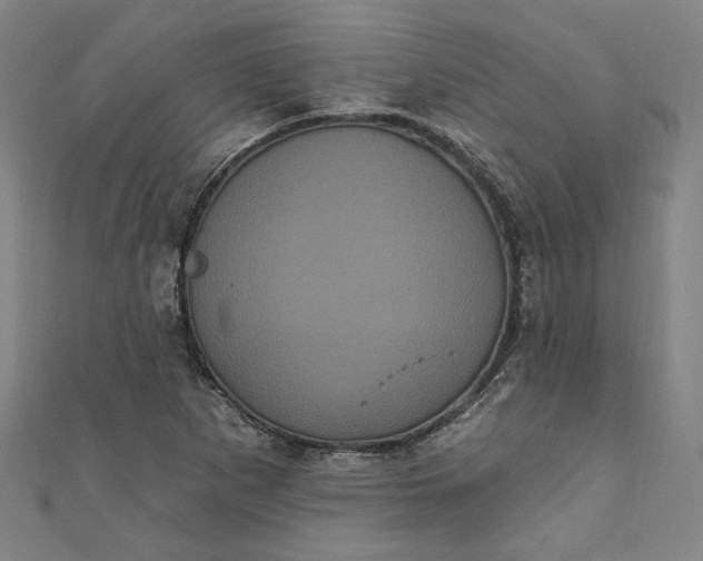 X0000111461265200907271244