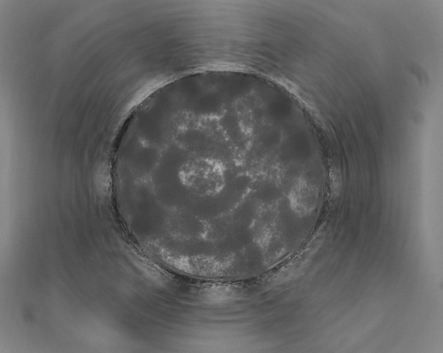 X0000111461266200907271244