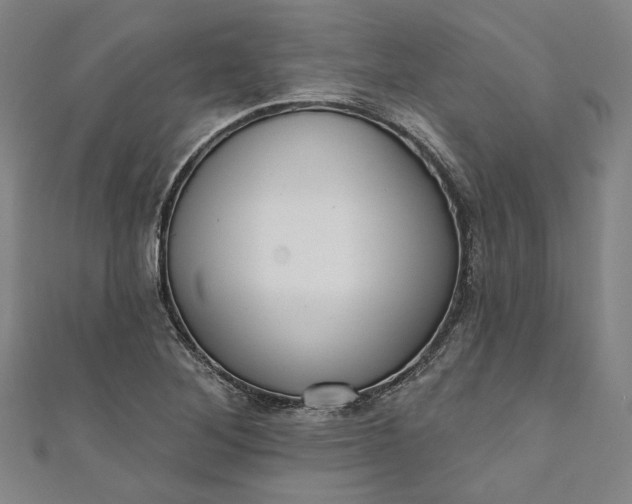 X0000111461268200907271244