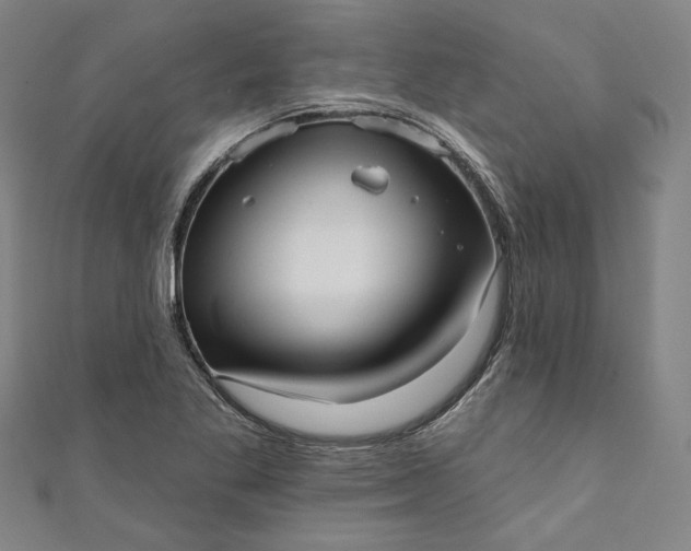 X0000111461269200907271244