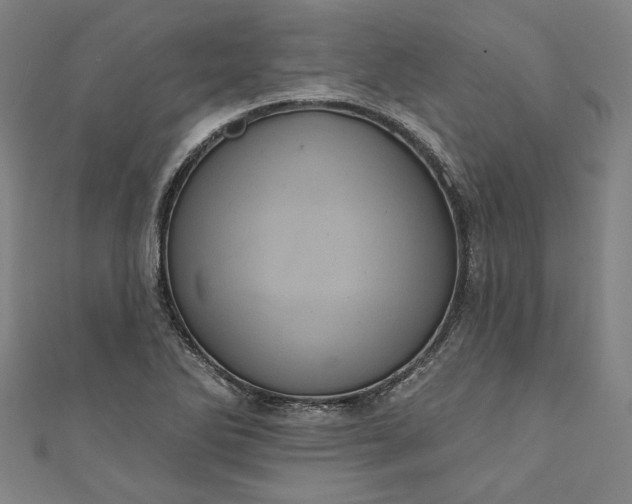 X0000111461270200907271244