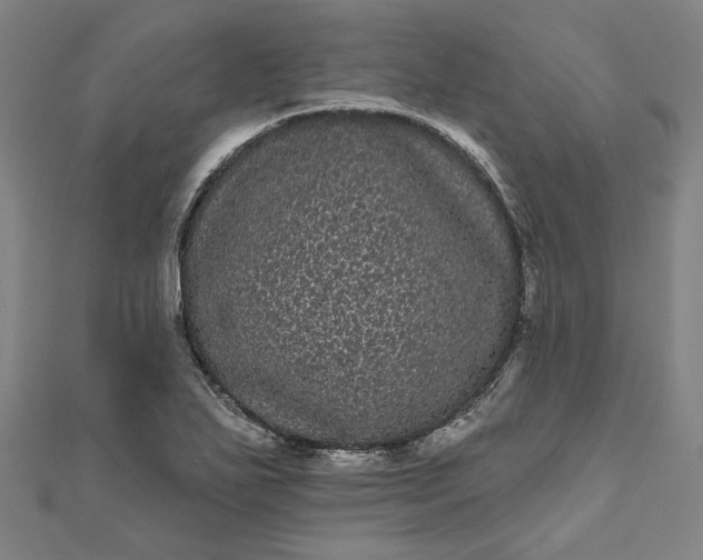 X0000111461271200907271244