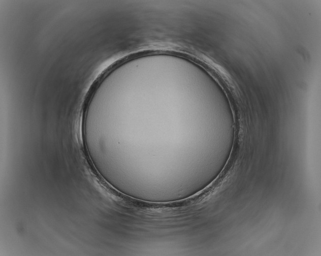 X0000111461272200907271244