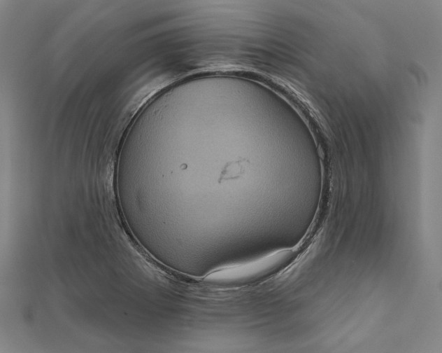 X0000111461273200907271244