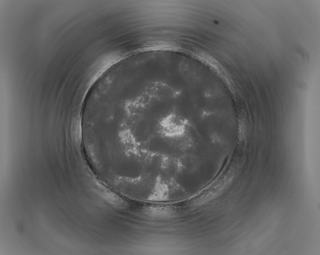 X0000111461274200907271244