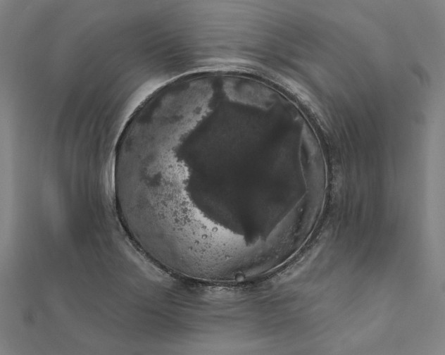 X0000111461275200907271244