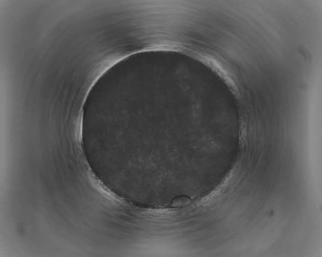 X0000111461276200907271244