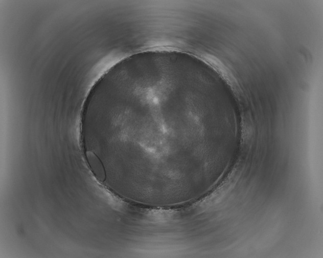 X0000111461277200907271244