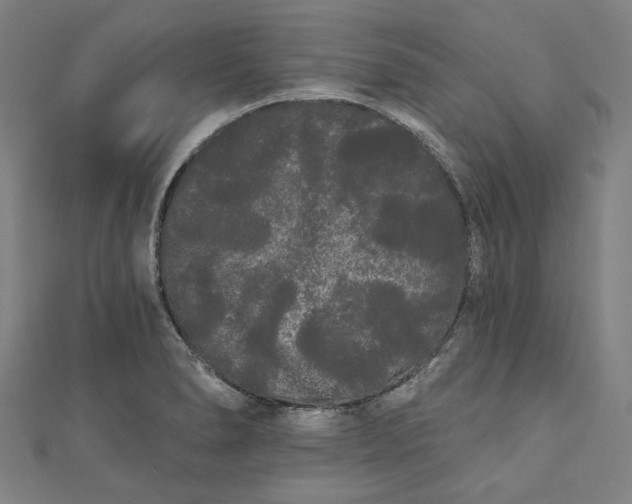 X0000111461278200907271244