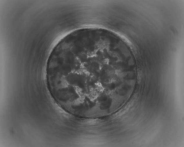 X0000111461279200907271244