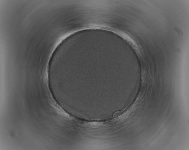 X0000111461280200907271244