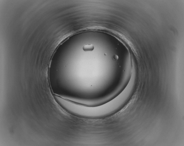 X0000111461281200907271244