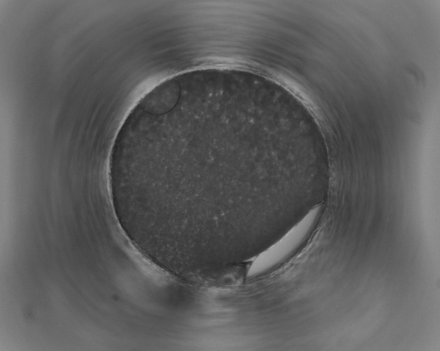 X0000111461283200907271244